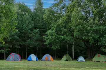 A campground in the summer forest.