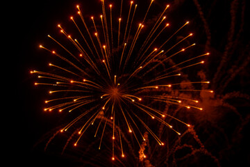 4th of July fireworks in the night sky