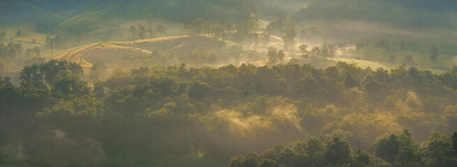 Banner Beautiful Mountain landscape foggy mountain green landscape morning sunrise. Amazing...