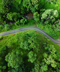 Aerial view of road in green forest and transportation. Nature conservation environment.