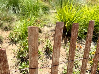 Sand with drift fence, beach vibes, natural barriers, coastal protection, seaside landscape,...