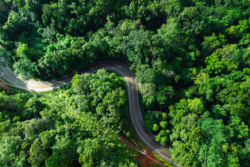 Aerial view of green forest road and transportation. Nature conservation, environment and...