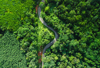 Aerial view of green forest road and transportation. Nature conservation, environment and transportation.