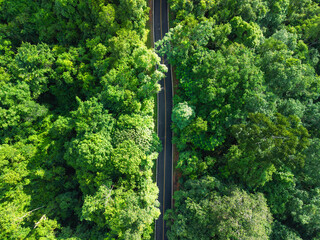 Aerial view of road in green forest and transportation. Nature conservation environment.