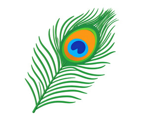 Obraz premium Colorful green and orange peacock with vibrant feathers representing beauty, wildlife, and exotic bird species, isolated on white background