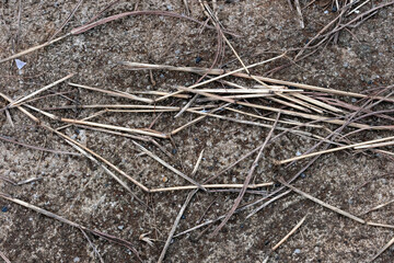 close up of a pile of hay