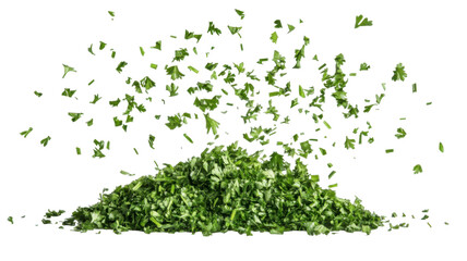 Chopped dry parsley leaves flying in the air representing culinary herb, seasoning ingredient, and cooking garnish, isolated on white background