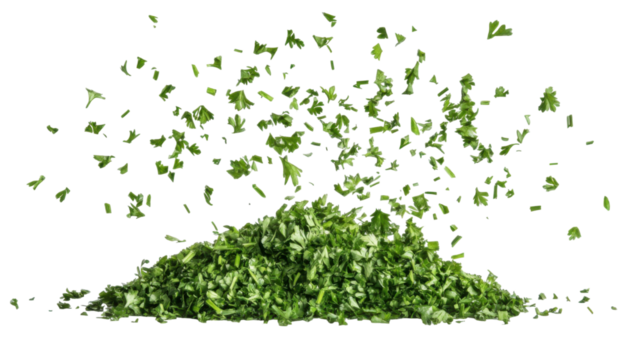 Chopped dry parsley leaves flying in the air representing culinary herb, seasoning ingredient, and cooking garnish, isolated on white background