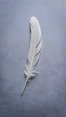 a single white feather on a blue background.