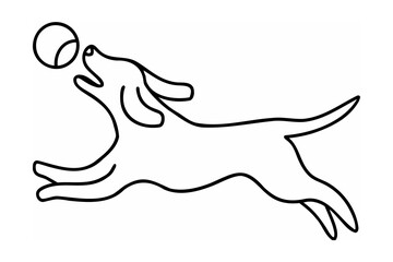 Dog leaping to catch a ball puppy canine