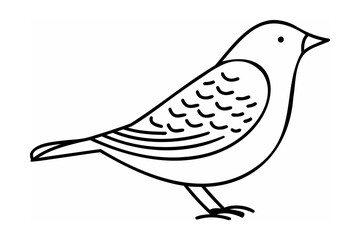Stylized black and white bird illustration drawing