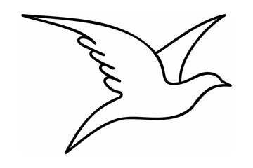 Dove in flight outline bird flying