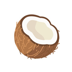 A clean, high-quality PNG illustration of a half coconut with visible white flesh and brown husk. Perfect for tropical food designs, exotic fruit concepts, or organic product packaging.