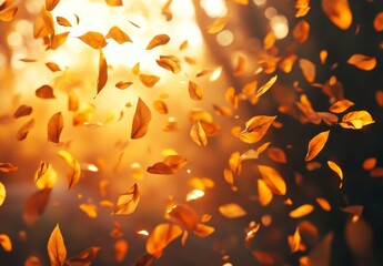 Golden autumn leaves falling in sunlight. (4)