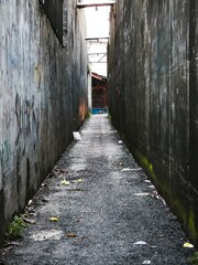 narrow street in old havana