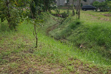 The garden is in a large area with a stretch of grass and a small river flowing amidst the hot sun and long grass