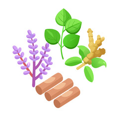 Collection of Ayurvedic Herbs and leafs 