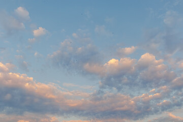 Pastel clouds at sunset and birds in a peaceful sky