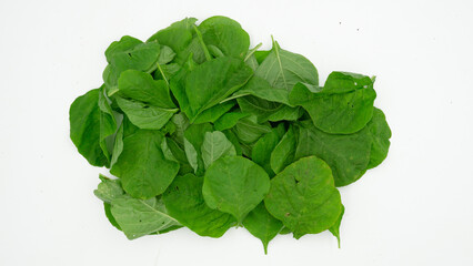 fresh spinach isolated white background