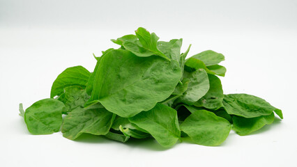 fresh spinach isolated white background