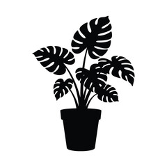 A potted monstera plant with large, split leaves stands out in a bold black silhouette against a clean white background © foods