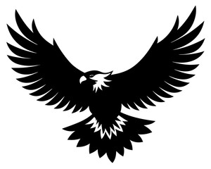 Obraz premium Majestic bald eagle soaring with wings spread wide in flight