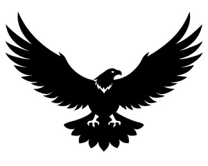 Obraz premium Majestic bald eagle soaring with wings spread wide in flight