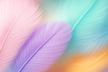 Soft pastel-colored animal feathers in close-up with dreamy light and blurred background concept for softness and elegance theme.