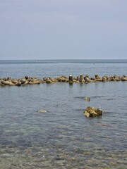 Peaceful natural landscape, sky and sea forming horizon, sea birds, seagulls, calm and beautiful seascape background, Yeongdeok sea, South Korea - 평화로운 자연 풍경, 하늘, 바다, 갈매기, 고요하고 아름다운 바다, 영덕, 한국