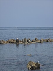 Peaceful natural landscape, sky and sea forming horizon, sea birds, seagulls, calm and beautiful seascape background, Yeongdeok sea, South Korea - 평화로운 자연 풍경, 하늘, 바다, 갈매기, 고요하고 아름다운 바다, 영덕, 한국