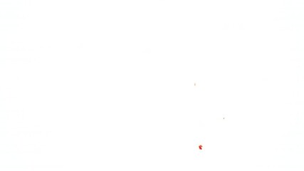 Experience autumn's beauty with this vibrant 3D animation of maple leaves "exploding" against a soft pastel background. A dynamic, captivating video perfect for adding unique artistic flair to your pr - Powered by Adobe