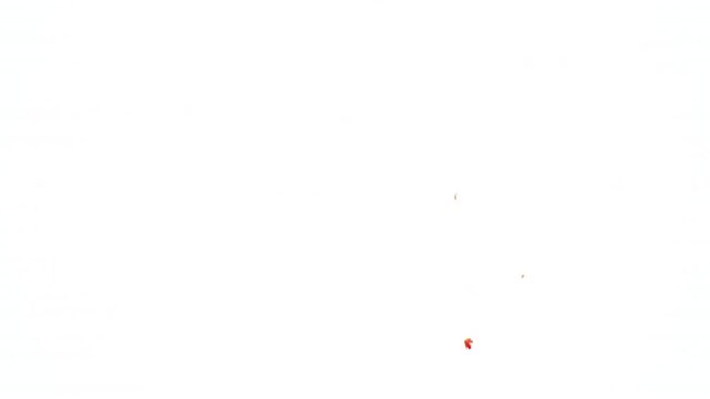 Experience autumn's beauty with this vibrant 3D animation of maple leaves "exploding" against a soft pastel background. A dynamic, captivating video perfect for adding unique artistic flair to your pr