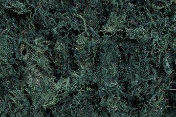A background image of dried turquoise moss. It has a forest and wild feel.