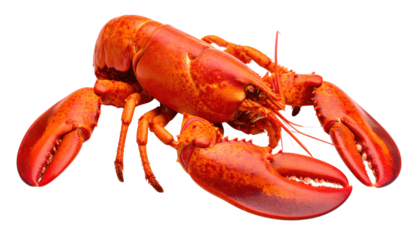 Red lobster isolated on transparent background