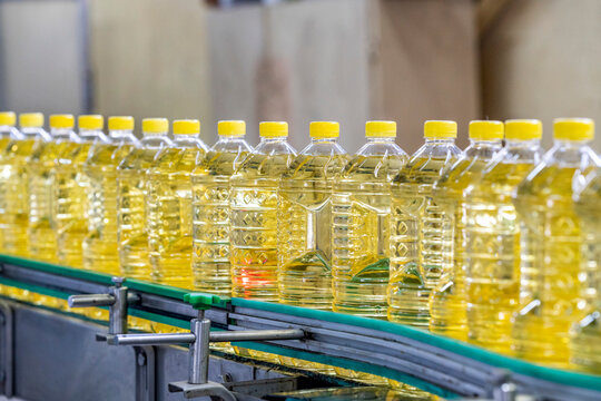 Oil in bottles. Industrial production of sunflower oil. Conveyor line for bottling and packing. Sunflower oil plant. Bottles of Cooking Oil on a Production Line.