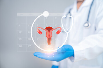 Doctor in white uniform with Female reproductive organs and ovulation cycle with calendar and...