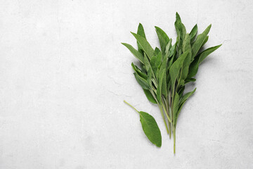 Fresh organic sage leaves on light background. top view, copy space