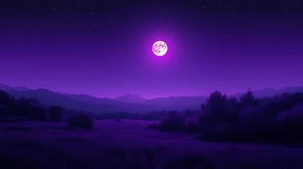 Fototapete Rund Mystical nocturnal landscape with full moon and star-studded violet sky © Sumanto
