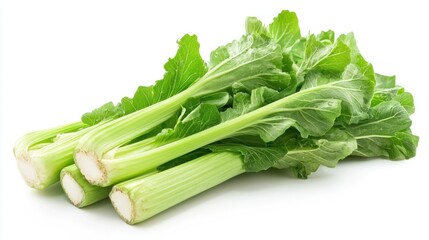 A bunch of fresh green and white bok choy vegetables with a white background.