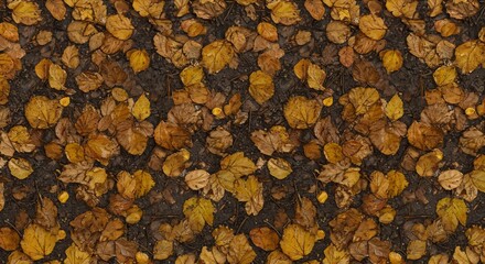 Yellow and brown autumn leaves scattered on dark wet ground with small debris