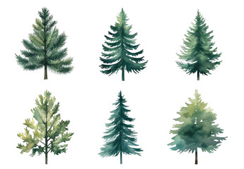 Obraz premium Six stylized evergreen trees in muted greens and blues, rendered in a painterly style