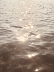 Golden sunrise reflecting on calm sea water at dawn.

