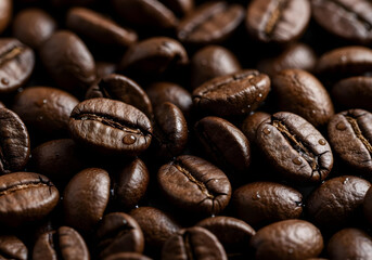 macro close-up of fresh roasted coffee beans

