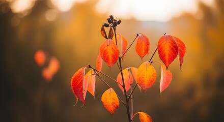 Vibrant Autumn Leaves Illuminated by Soft Sunlight Against a Blurred Background