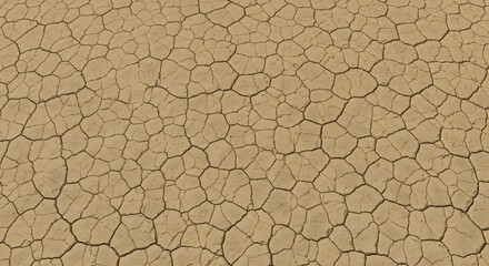 A closeup view of a vast parched expanse of light brown earth covered in a dense network of polygonal cracks
