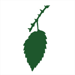 Single Leaf with Stem Illustration