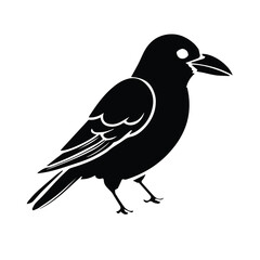Obraz premium Black silhouette of a crow, side view, against a plain white background. Detailed illustration of a crow in a nature/wildlife theme.
