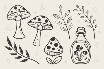 Whimsical hand drawn illustration of mushrooms branches and a potion bottle