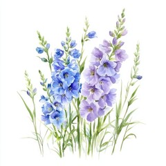 Obraz premium Small bouquet of Delphiniums in grass illustration watercolor flowers.