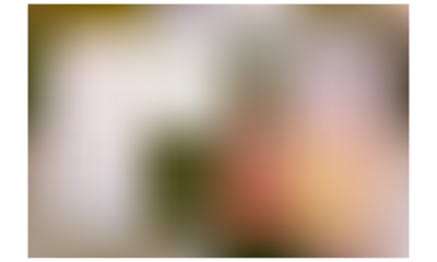 abstract gradient shape cutout on transparent background, abstract vibrant color mesh gradient overlay effect realistic cutout, gradient effect